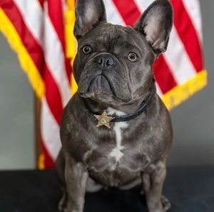 Meet your Posher, Alisha